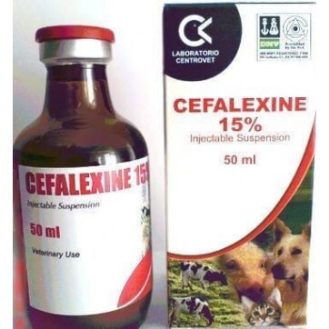 Цена Цефалексина В Аптеке