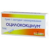 Оцилококцинум гран. дозир. пенал 1 г №6