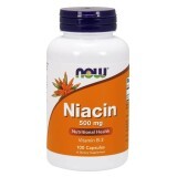Ніацин 500 мг Now Foods 100 капсул