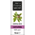 Эфирное масло Flora Secret Санталовое 10 мл