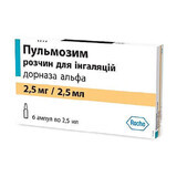 Пульмозим р-р д/инг. 2,5 мг/2,5 мл амп.