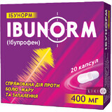 Ибунорм капс. 400 мг блистер №20