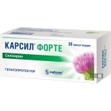 Карсил Днепр