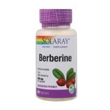Берберин 500 мг Berberine Solaray 60 вегетаріанських капсул