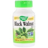 Чорний горіх Black Walnut Hulls Nature's Way 500 мг 100 капсул