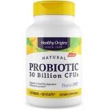 Пробиотики для улучшения пищеварения Healthy Origins 60 гелевых капсул