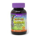 Мультивитамины для детей Rainforest Animalz Bluebonnet Nutrition вкус апельсина 90 жевательных конфет
