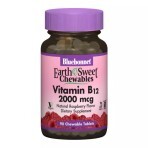 Витамин В12 2000 мкг вкус малины Earth Sweet Chewables Bluebonnet Nutrition 90 жевательных таблеток: цены и характеристики