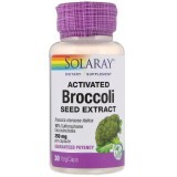 Активированный экстракт семян Брокколи 350 мг Solaray 30 капсул