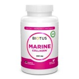Морський колаген Marine Collagen Biotus 120 капсул