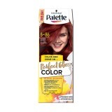 Фарба для волосся Palette Perfect Gloss Color 5-86 Пристрасний вогонь 70 мл