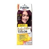 Безаміачна фарба для волосся Palette Perfect Gloss Color Солодка слива з аргановою олією, 70 мл