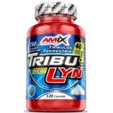Трибулус Amix Nutrition TribuLyn 40% 750 мг, 120 капсул