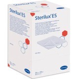 Салфетка марлева стерильная Sterilux ES 10 см х 10 см, 2 шт