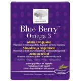 Комплекс New Nordic Blue Berry Omega 3 для улучшения зрения капсулы, №60