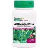 Ашваганда, 450 мг, Ashwagandha, Herbal Actives, Natures Plus, 60 вегетаріанських капсул