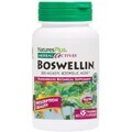 Босвелин, 300 мг, Boswellin, Herbal Actives, Natures Plus, 60 вегетарианских капсул