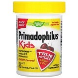 Пробіотики для дітей від 2 до 12 років, 3 млрд КУО, смак вишні, Primadophilus, Kids, Age 2-12, Nature's Way, 60 жувальних таблеток