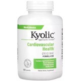 Aged Garlic Extract, Cardiovascular Health, Original Formula 100, Kyolic Экстракт выдержанного чеснока, 300 капсул