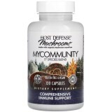 Підтримка імунітету, комплекс із 17 грибів, Mushrooms, Comprehensive Immune Support, Fungi Perfecti, 120 капсул