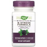 Стресс формула В-Комплекс, премиум-смесь, B-Stress Formula, Nature's Way, 100 вегетарианских капсул