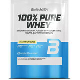 Протеин для спортсменов BiotechUSA 100% Pure Whey Rice pudding 28 г