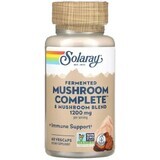 Дієтична добавка Solaray Лікувальні гриби, 600 мг, 60 вегетаріанських капсул
