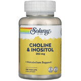 Solaray Холин и инозитол, Choline & Inositol, 250 мг, 100 капсул