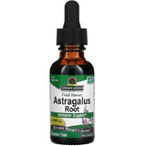 Екстракт астрагалу без спирту, 2000 мг, Astragalus Root, Nature's Answer, 30 мл