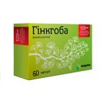 Гинкгоба капс. 120 мг блистер №60: цены и характеристики