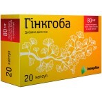 Гинкгоба капс. 80 мг блистер №20: цены и характеристики