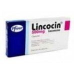 Лінкоцин капс. 500 мг №20: ціни та характеристики