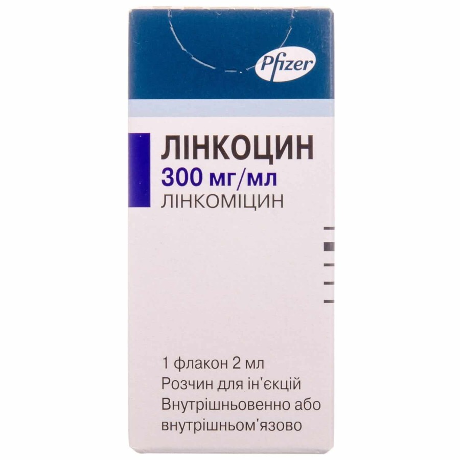 Лінкоцин р-н д/ін. 300 мг/мл фл. 2 мл: ціни та характеристики