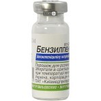 Бензилпенициллин пор. д/р-ра д/ин. 1000000 ЕД фл.: цены и характеристики