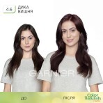 Краска для волос Garnier Color Naturals 4.6 Дикая вишня 110 мл: цены и характеристики