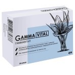 Гаммавітал капсули 700 мг упаковка №30: ціни та характеристики