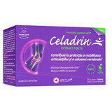 Celadrin Extract Forte, 500 мг, 60 капсул, Good Days Therapy