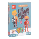 Магнитная игра Тело человека, 5 лет+, 63 детали, Apli Kids