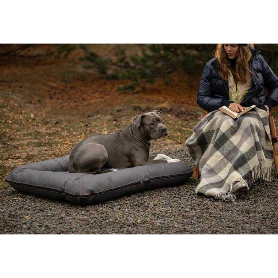 Harley & Cho (Харли энд Чо) Lounger Waterproof - Двухсторонний лежак-понтон для собак, влагостойкая ткань, 115х85 см (Серый): цены и характеристики
