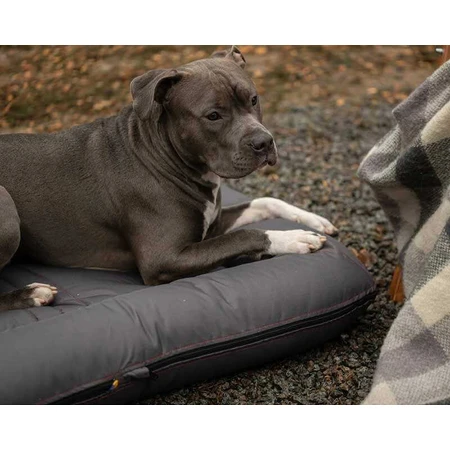 Harley & Cho (Харли энд Чо) Lounger Waterproof - Двухсторонний лежак-понтон для собак, влагостойкая ткань, 135х95 см (Серый): цены и характеристики