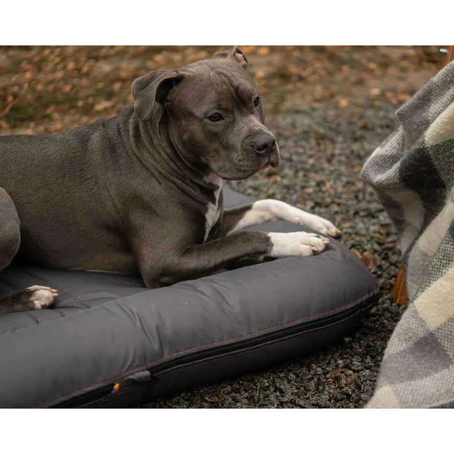 Harley & Cho (Харли энд Чо) Lounger Waterproof - Двухсторонний лежак-понтон для собак, влагостойкая ткань, 135х95 см (Серый): цены и характеристики