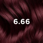 Phyto Color, фарба для волосся, 6.66 інтенсивний вишнево-червоно-коричневий, 1 шт.: ціни та характеристики