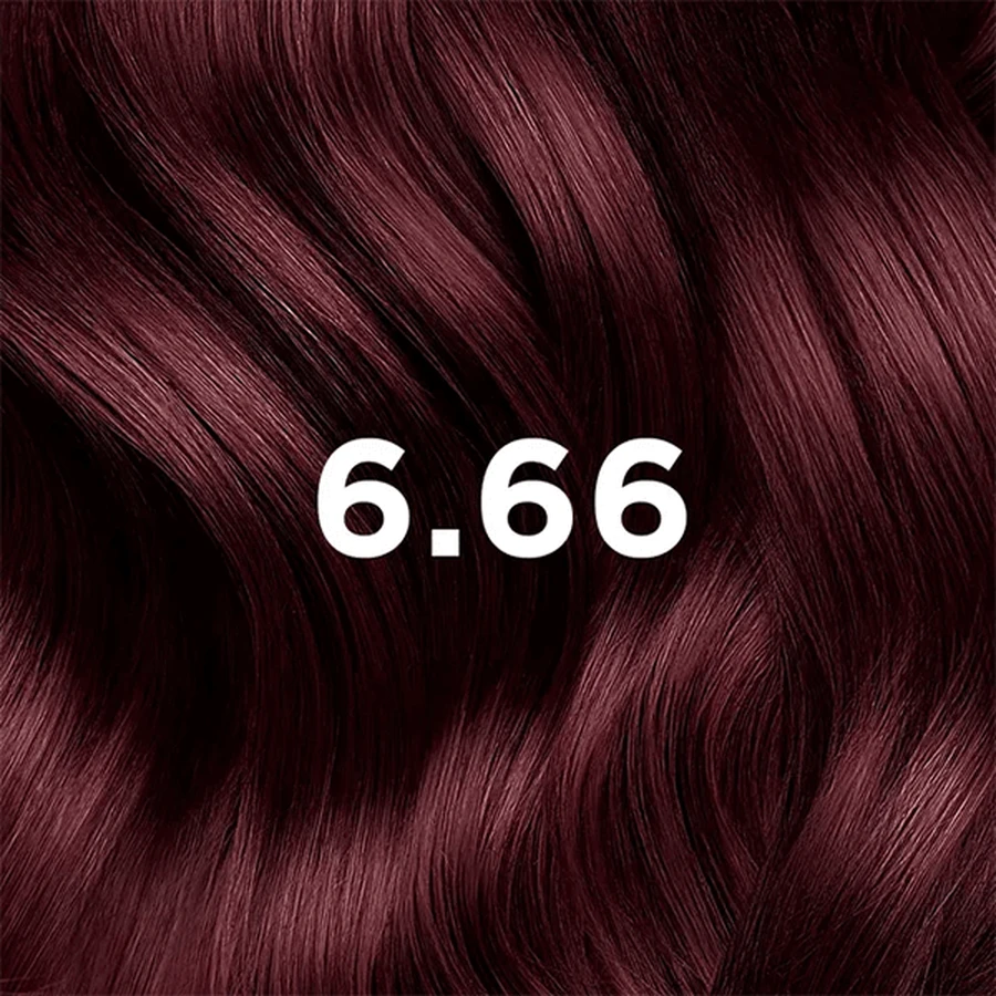Phyto Color, фарба для волосся, 6.66 інтенсивний вишнево-червоно-коричневий, 1 шт.: ціни та характеристики