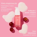 Caudalie VinoHydra Hyaluronic, сыворотка для лица, 30 мл + The des Vignes, гель для душа, 200 мл бесплатно: цены и характеристики
