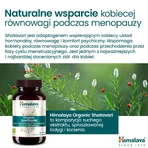 Набор Himalaya Organic Shatavari, 2 x 60 таблеток: цены и характеристики