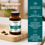 Набор Himalaya Organic Shatavari, 2 x 60 таблеток: цены и характеристики
