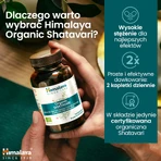 Набор Himalaya Organic Shatavari, 2 x 60 таблеток: цены и характеристики
