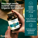 Набір Гімалайська органічна гімнастика, 2 х 60 таблеток: ціни та характеристики