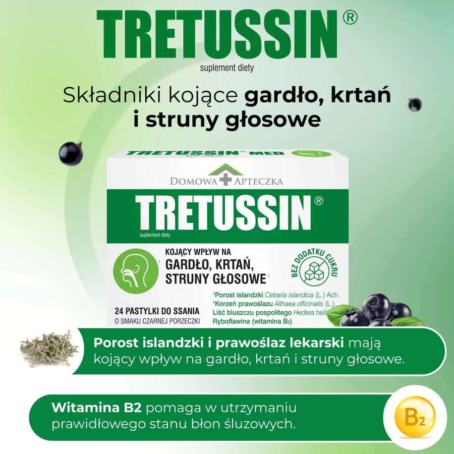 Третюссин, со вкусом черной смородины, 24 пастилки: цены и характеристики