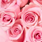 Nuxe Very Rose, гель для душу, 750 мл: ціни та характеристики